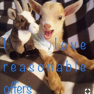 Reasonable offers excepted